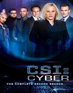 CSI: Cyber Temporada 2